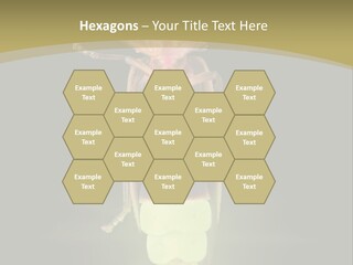 A Bug With A Light Shining On It's Back PowerPoint Template