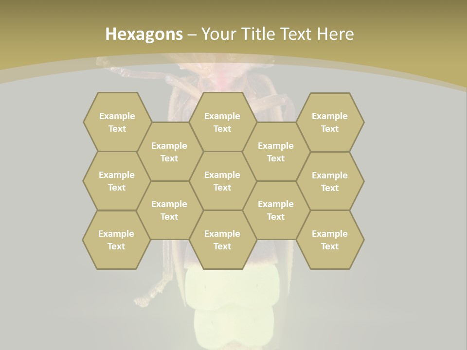 A Bug With A Light Shining On It's Back PowerPoint Template