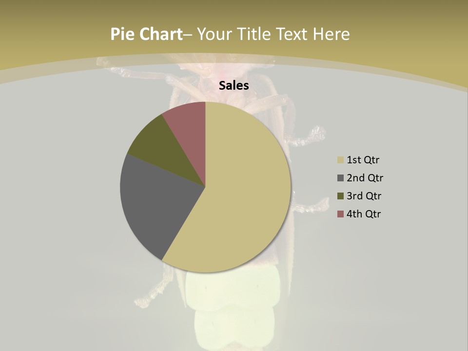A Bug With A Light Shining On It's Back PowerPoint Template
