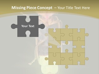 A Bug With A Light Shining On It's Back PowerPoint Template