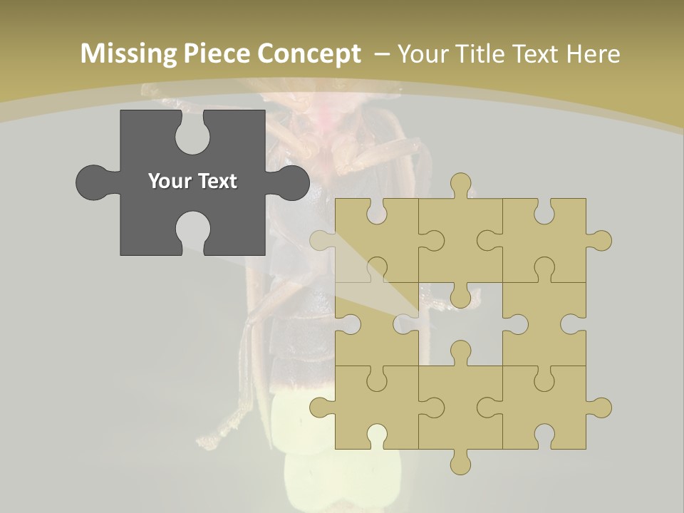 A Bug With A Light Shining On It's Back PowerPoint Template