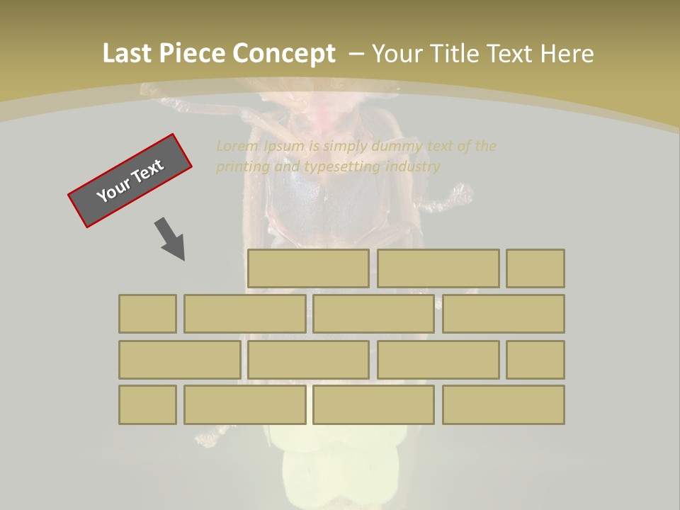 A Bug With A Light Shining On It's Back PowerPoint Template