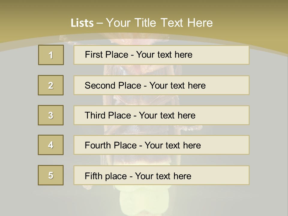 A Bug With A Light Shining On It's Back PowerPoint Template