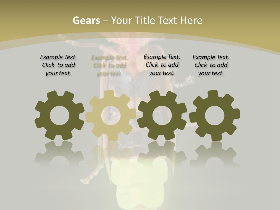 A Bug With A Light Shining On It's Back PowerPoint Template