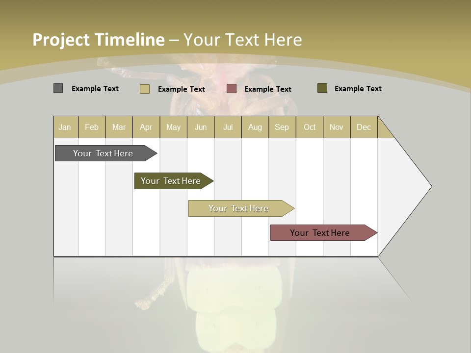 A Bug With A Light Shining On It's Back PowerPoint Template