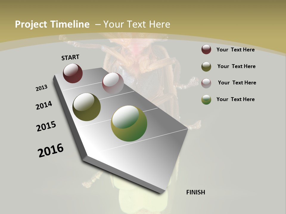 A Bug With A Light Shining On It's Back PowerPoint Template