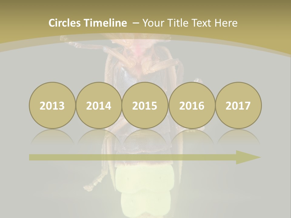 A Bug With A Light Shining On It's Back PowerPoint Template