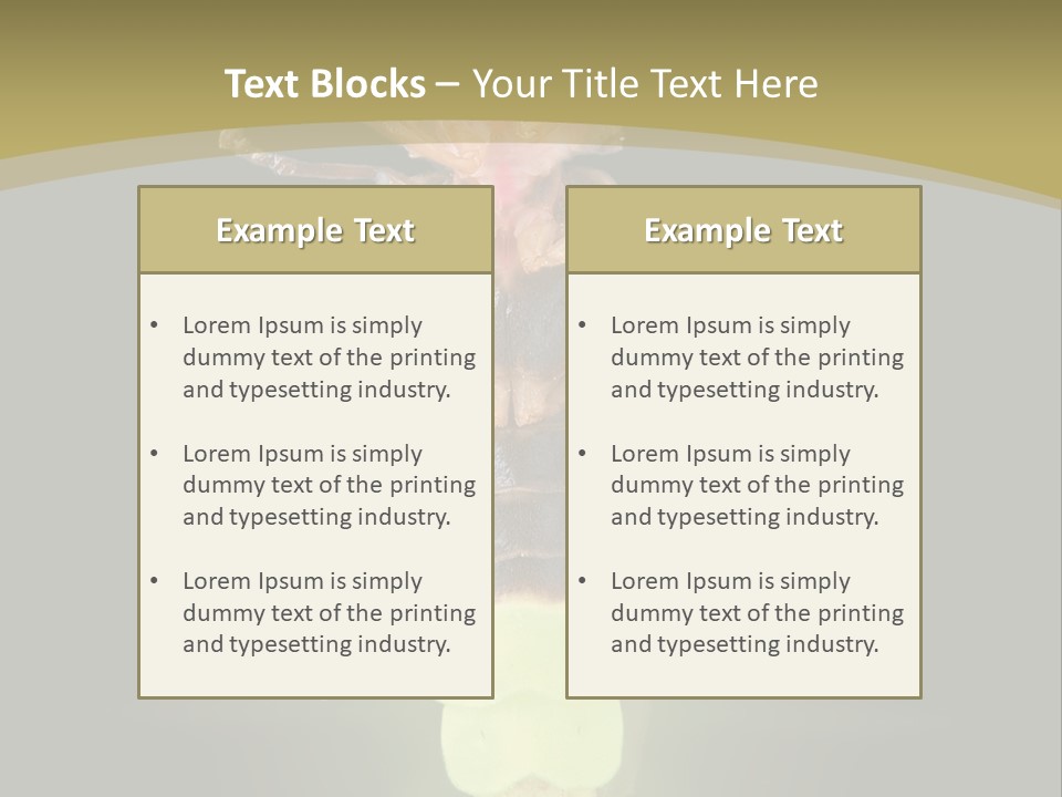 A Bug With A Light Shining On It's Back PowerPoint Template