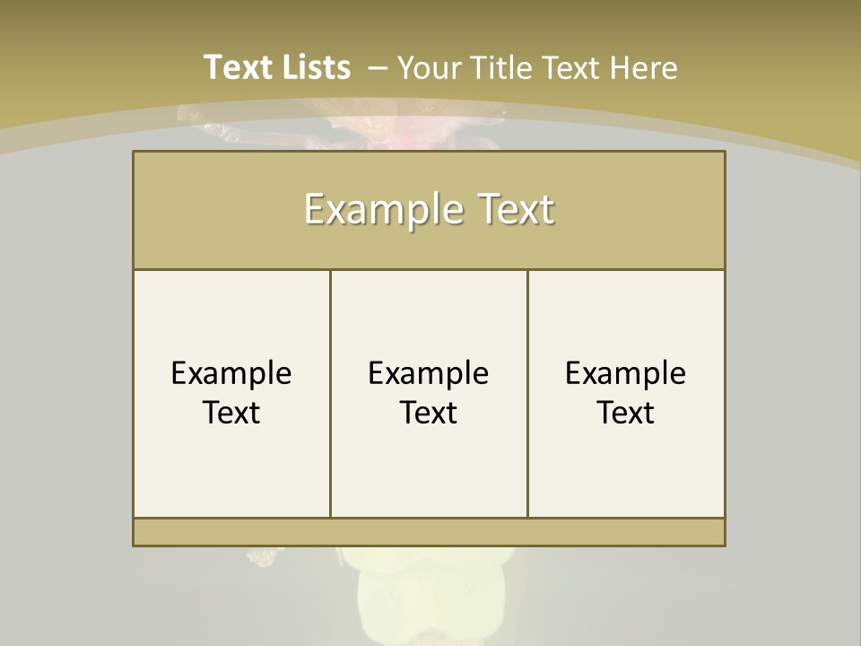 A Bug With A Light Shining On It's Back PowerPoint Template