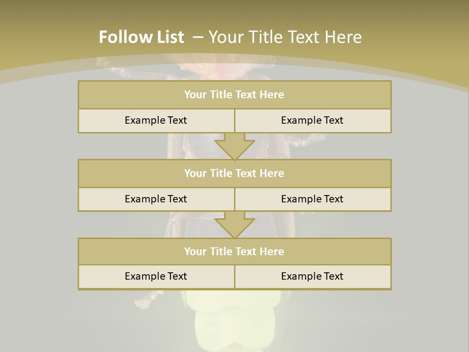 A Bug With A Light Shining On It's Back PowerPoint Template
