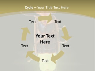 A Bug With A Light Shining On It's Back PowerPoint Template