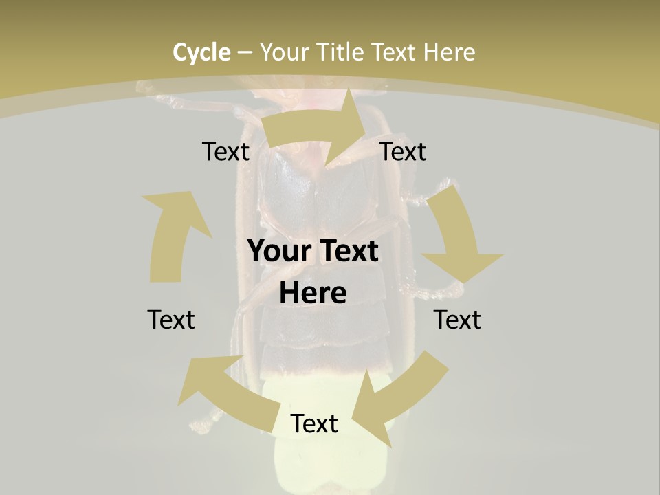 A Bug With A Light Shining On It's Back PowerPoint Template