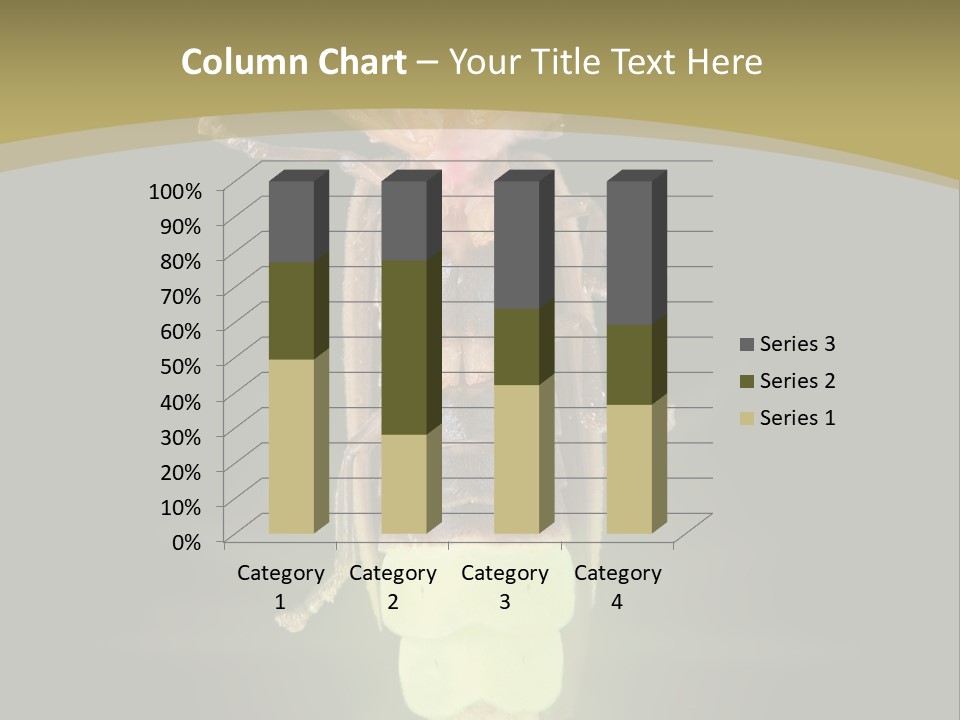 A Bug With A Light Shining On It's Back PowerPoint Template
