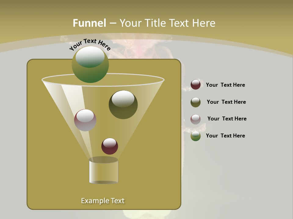 A Bug With A Light Shining On It's Back PowerPoint Template