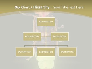 A Bug With A Light Shining On It's Back PowerPoint Template