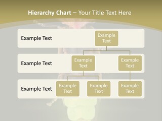 A Bug With A Light Shining On It's Back PowerPoint Template