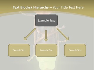 A Bug With A Light Shining On It's Back PowerPoint Template