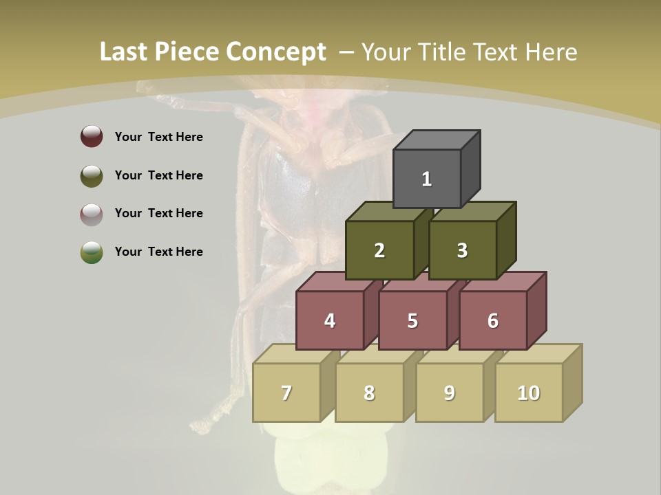 A Bug With A Light Shining On It's Back PowerPoint Template