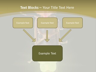 A Bug With A Light Shining On It's Back PowerPoint Template