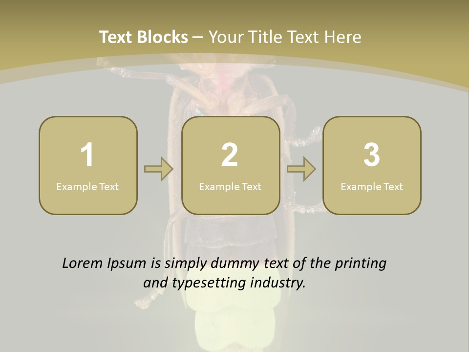 A Bug With A Light Shining On It's Back PowerPoint Template