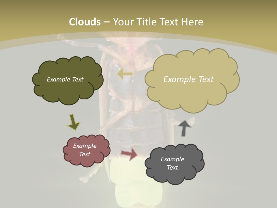 A Bug With A Light Shining On It's Back PowerPoint Template