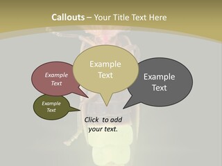 A Bug With A Light Shining On It's Back PowerPoint Template