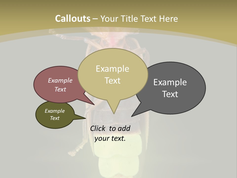 A Bug With A Light Shining On It's Back PowerPoint Template