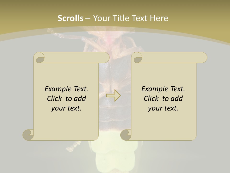 A Bug With A Light Shining On It's Back PowerPoint Template
