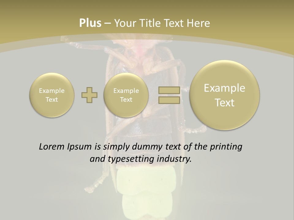 A Bug With A Light Shining On It's Back PowerPoint Template