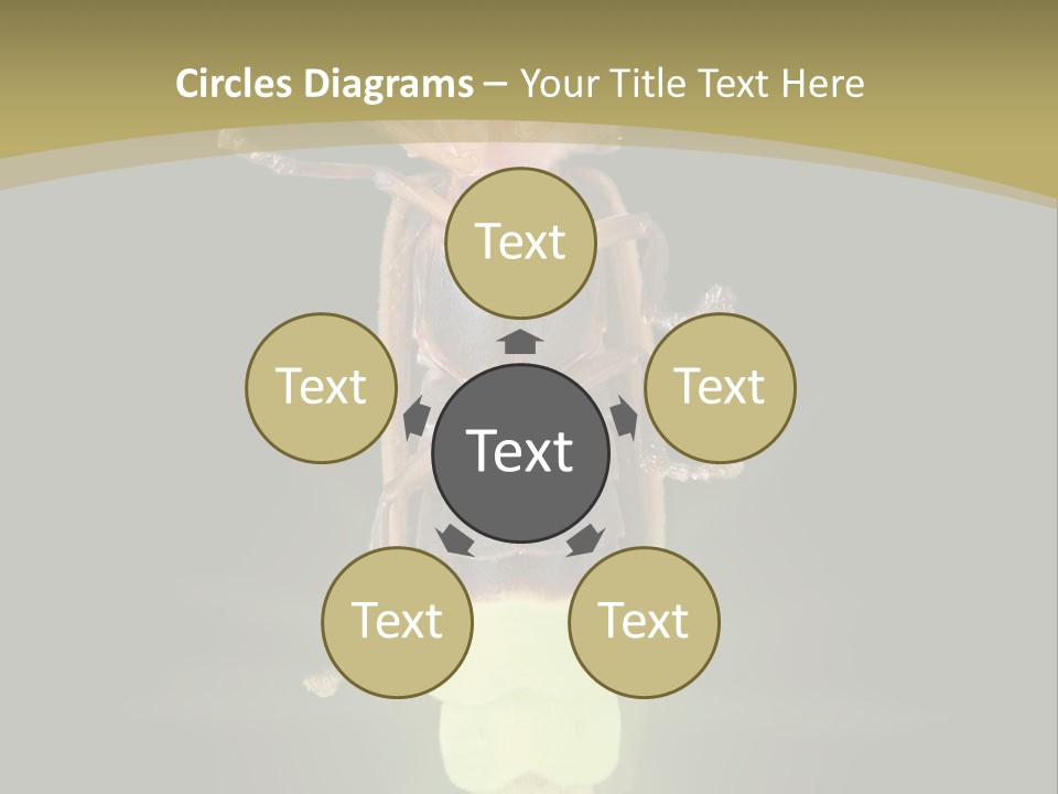 A Bug With A Light Shining On It's Back PowerPoint Template