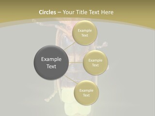 A Bug With A Light Shining On It's Back PowerPoint Template