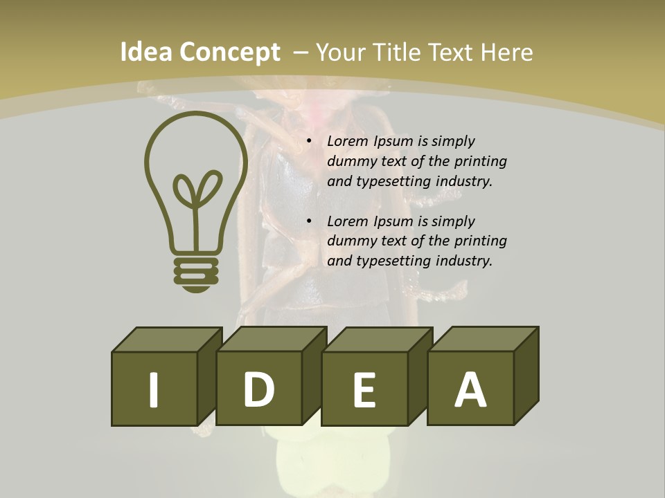 A Bug With A Light Shining On It's Back PowerPoint Template