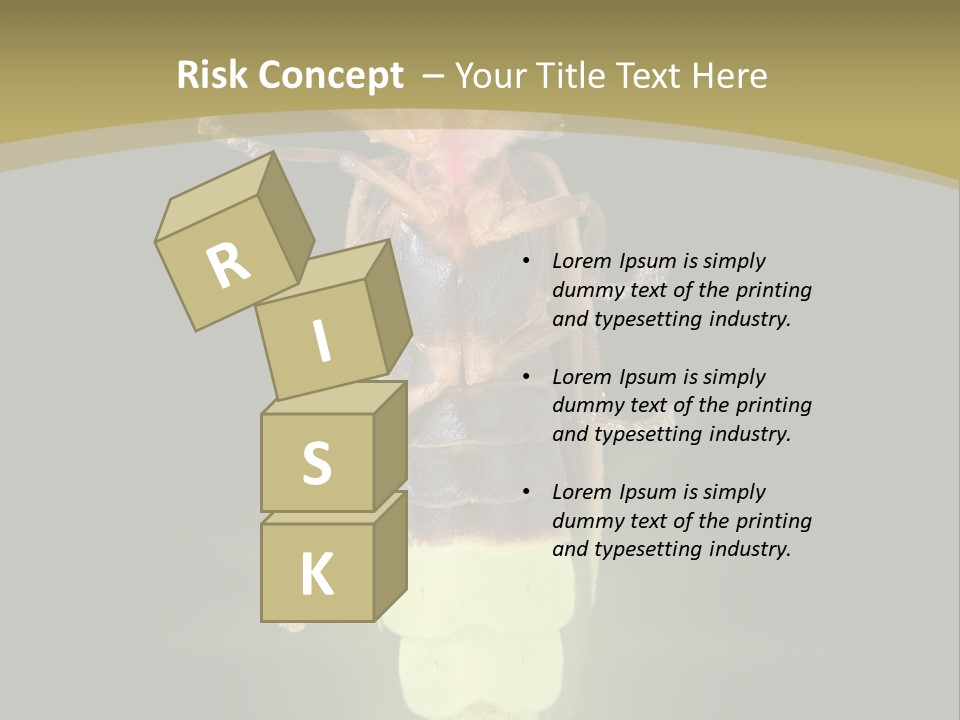 A Bug With A Light Shining On It's Back PowerPoint Template