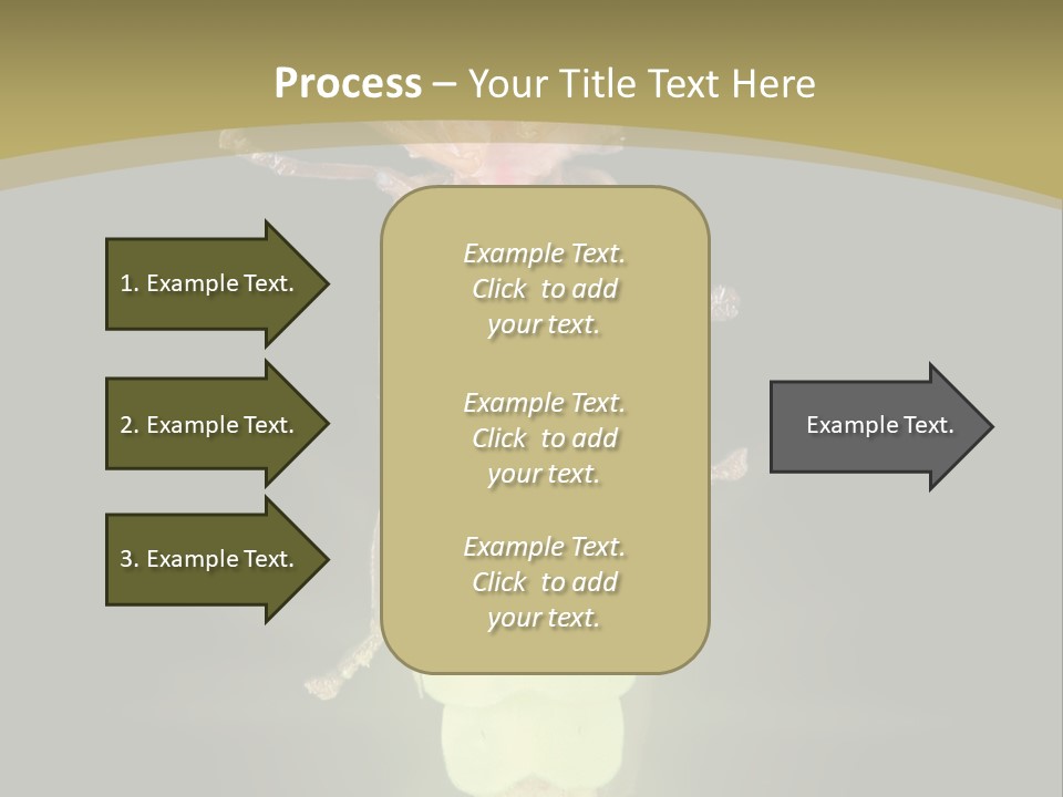 A Bug With A Light Shining On It's Back PowerPoint Template