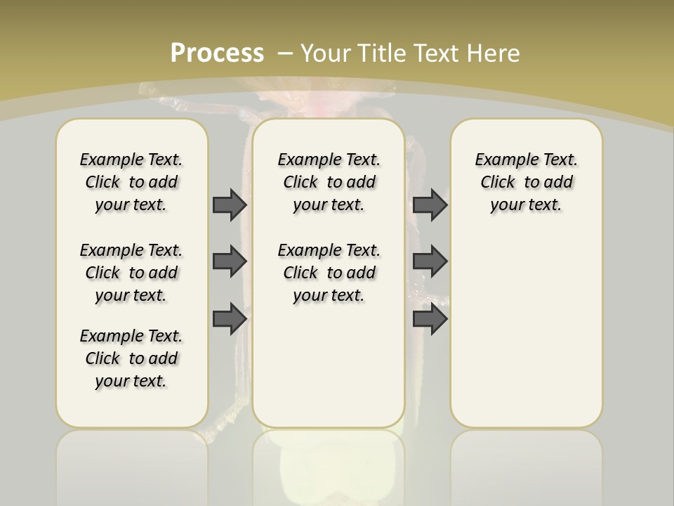 A Bug With A Light Shining On It's Back PowerPoint Template