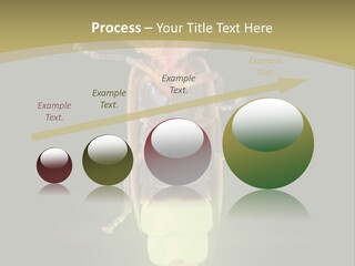 A Bug With A Light Shining On It's Back PowerPoint Template
