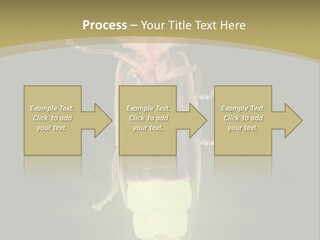 A Bug With A Light Shining On It's Back PowerPoint Template