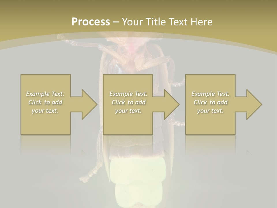 A Bug With A Light Shining On It's Back PowerPoint Template