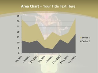 A Bug With A Light Shining On It's Back PowerPoint Template