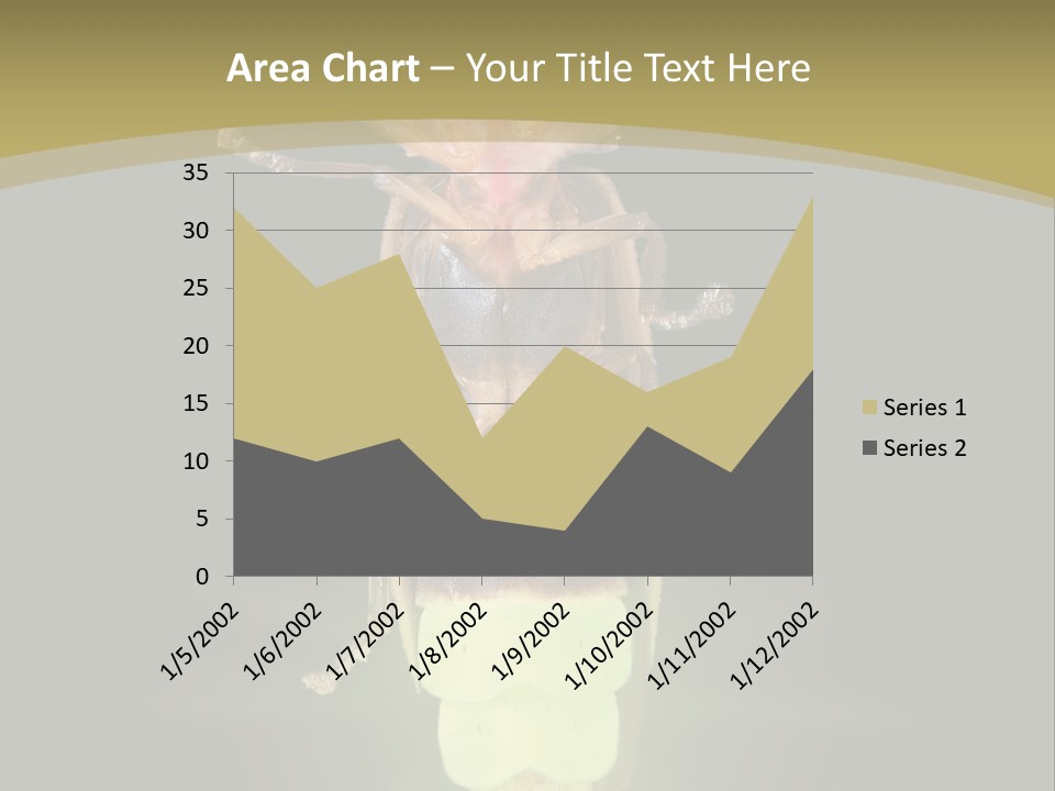 A Bug With A Light Shining On It's Back PowerPoint Template