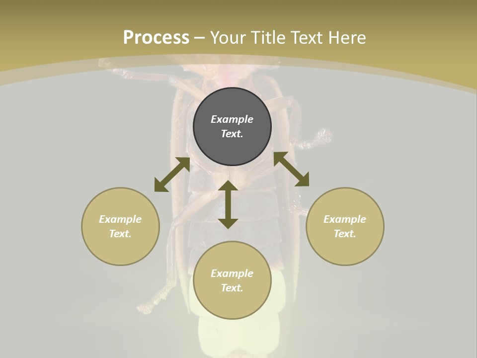 A Bug With A Light Shining On It's Back PowerPoint Template
