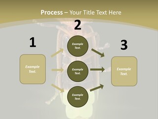 A Bug With A Light Shining On It's Back PowerPoint Template