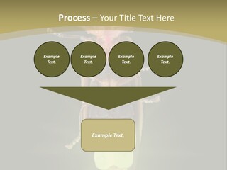 A Bug With A Light Shining On It's Back PowerPoint Template