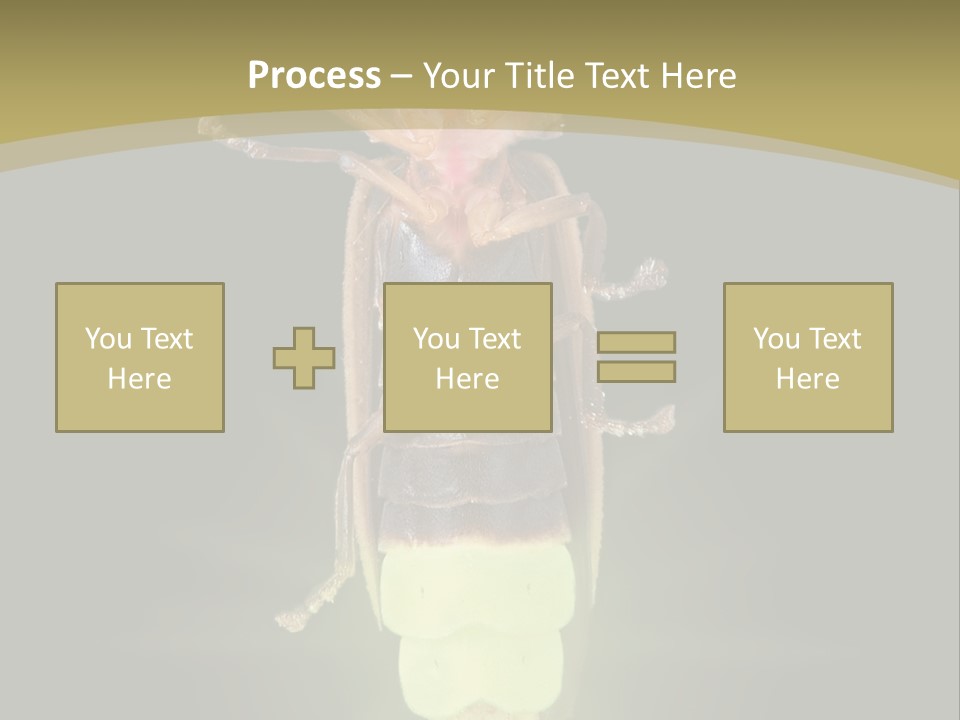 A Bug With A Light Shining On It's Back PowerPoint Template