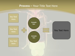 A Bug With A Light Shining On It's Back PowerPoint Template
