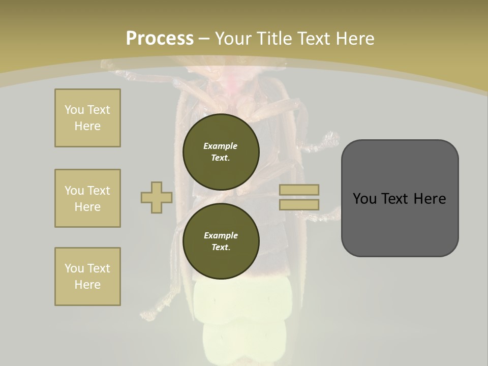 A Bug With A Light Shining On It's Back PowerPoint Template