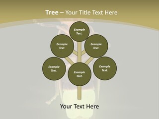 A Bug With A Light Shining On It's Back PowerPoint Template