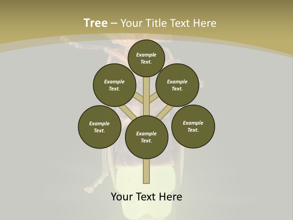 A Bug With A Light Shining On It's Back PowerPoint Template