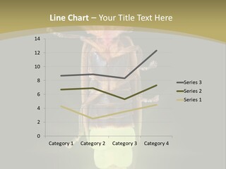 A Bug With A Light Shining On It's Back PowerPoint Template