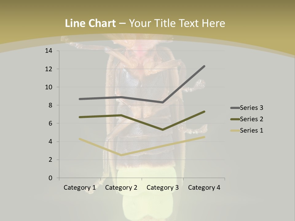 A Bug With A Light Shining On It's Back PowerPoint Template